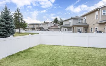 Fenced-in back yard